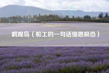 鹤观岛（船工的一句话细思极恐）