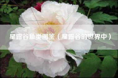 星露谷鱼类图鉴（星露谷的世界中）