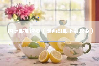 国际服加速器（墨西哥服下载攻略）