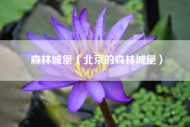 森林城堡（北京的森林城堡）