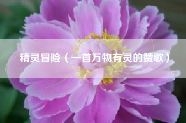 精灵冒险（一首万物有灵的赞歌）