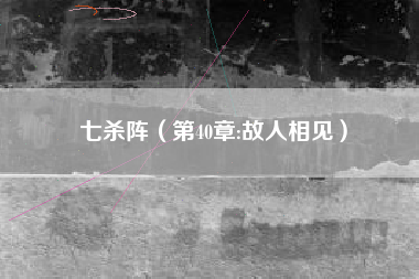 七杀阵（第40章:故人相见）