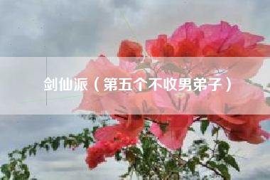 剑仙派（第五个不收男弟子）