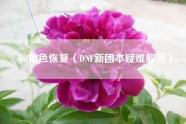 dnf角色恢复（DNF新团本疑难解答）