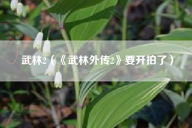 武林2（《武林外传2》要开拍了）