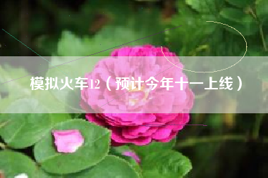 模拟火车12（预计今年十一上线）