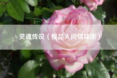 灵魂传说（慢品人间情味浓）