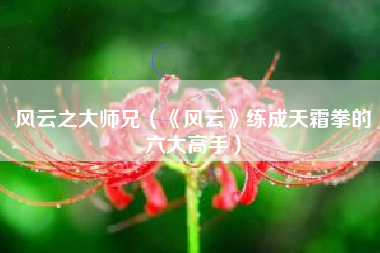 风云之大师兄（《风云》练成天霜拳的六大高手）