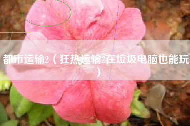 都市运输2（狂热运输2在垃圾电脑也能玩）