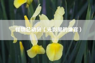 怪物总动员（光影里的盛宴）