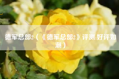德军总部2（《德军总部2》评测:好评如潮）