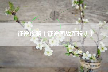征途攻略（征途国战新玩法）