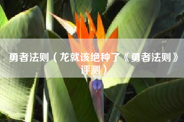 勇者法则（龙就该绝种了《勇者法则》评测）