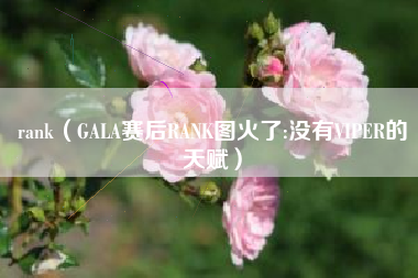 rank（GALA赛后RANK图火了:没有VIPER的天赋）