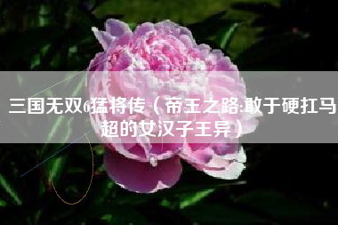 三国无双6猛将传（帝王之路:敢于硬扛马超的女汉子王异）