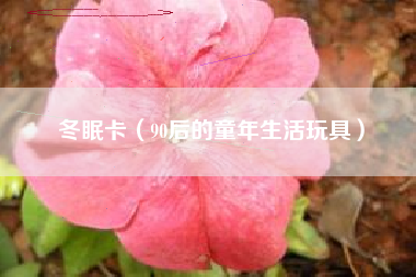 冬眠卡（90后的童年生活玩具）