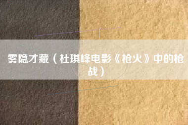 雾隐才藏（杜琪峰电影《枪火》中的枪战）
