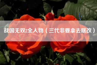 战国无双2全人物（三代非要拿去瞎改）