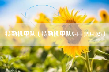 特勤机甲队（特勤机甲队X-4+(PD-802)）