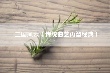 三国风云（传统曲艺再塑经典）