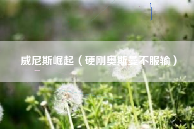 威尼斯崛起（硬刚奥斯曼不服输）