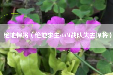 绝地悍将（绝地求生:4AM战队失去悍将）