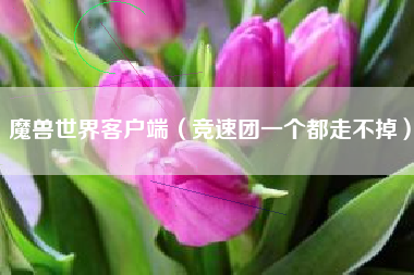 魔兽世界客户端（竞速团一个都走不掉）