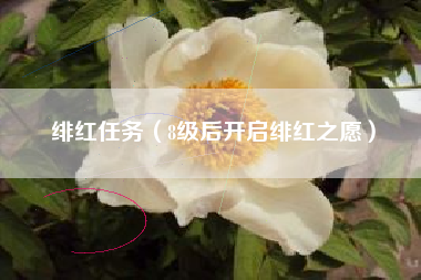 绯红任务（8级后开启绯红之愿）