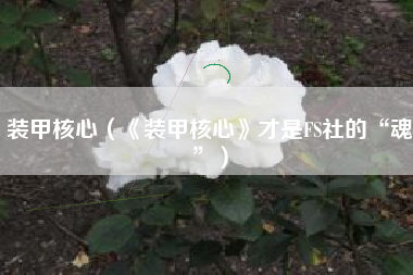装甲核心（《装甲核心》才是FS社的“魂”）