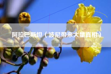 阿拉巴斯坦（波尼带来大量真相）