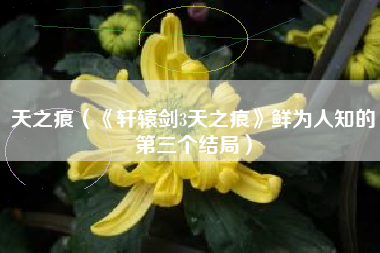 天之痕（《轩辕剑3天之痕》鲜为人知的第三个结局）