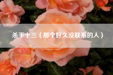 杀手十三（那个好久没联系的人）
