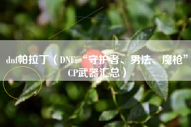 dnf帕拉丁（DNF:“守护者、男法、魔枪”CP武器汇总）