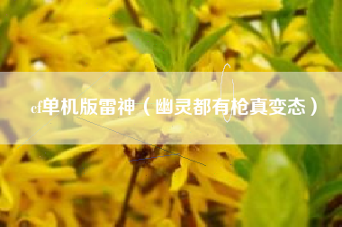 cf单机版雷神（幽灵都有枪真变态）