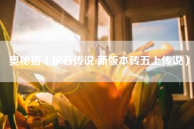 奥秘猎（炉石传说:新版本砖五上传说）