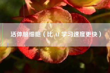 活体脑细胞（比 AI 学习速度更快）