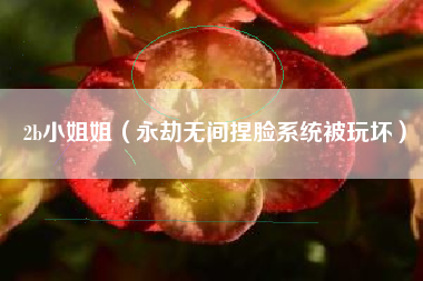 2b小姐姐（永劫无间捏脸系统被玩坏）