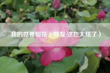 我的世界烟花（网友:这也太炫了）