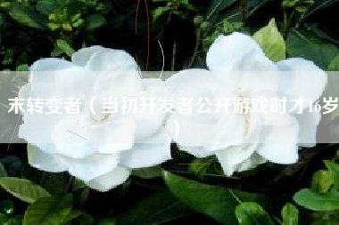 末转变者（当初开发者公开游戏时才16岁）