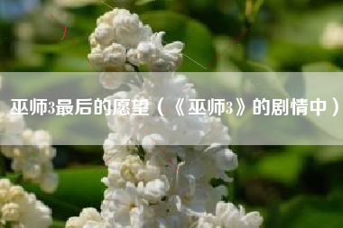 巫师3最后的愿望（《巫师3》的剧情中）