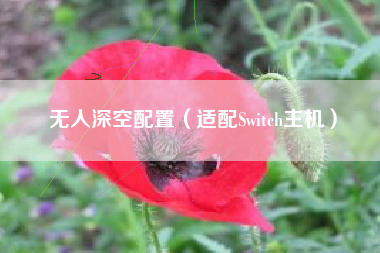 无人深空配置（适配Switch主机）