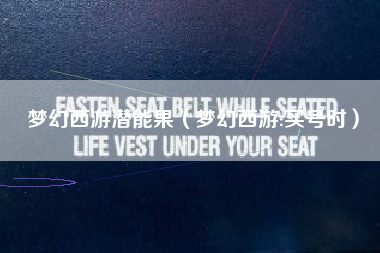 梦幻西游潜能果（梦幻西游:买号时）