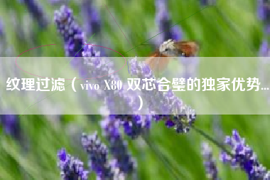 纹理过滤（vivo X80 双芯合璧的独家优势...）