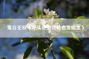 鬼谷无双（龙头企业优势愈发明显）