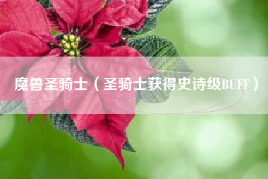 魔兽圣骑士（圣骑士获得史诗级BUFF）