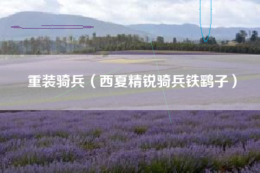 重装骑兵（西夏精锐骑兵铁鹞子）