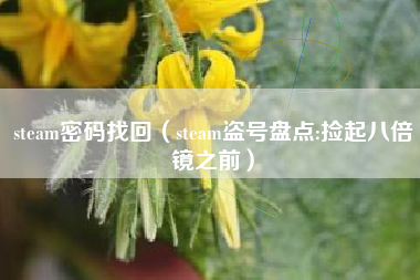 steam密码找回（steam盗号盘点:捡起八倍镜之前）