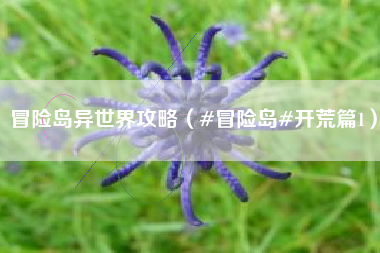 冒险岛异世界攻略（#冒险岛#开荒篇1）