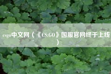 csgo中文网（《CS:GO》国服官网终于上线）