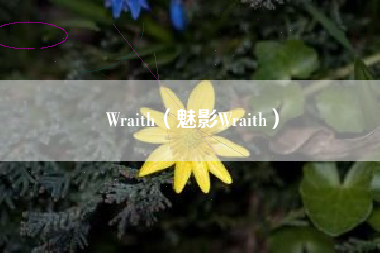 Wraith（魅影Wraith）